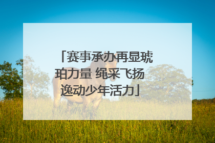 赛事承办再显琥珀力量 绳采飞扬逸动少年活力