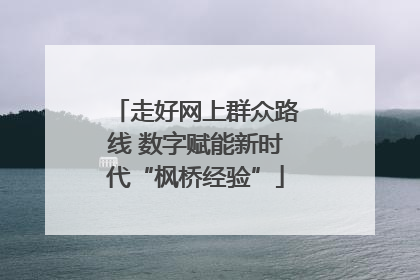 走好网上群众路线 数字赋能新时代“枫桥经验”