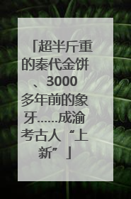 超半斤重的秦代金饼、3000多年前的象牙……成渝考古人“上新”