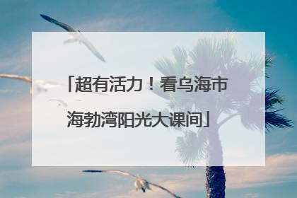 超有活力！看乌海市海勃湾阳光大课间