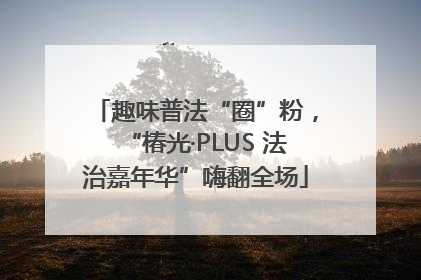 趣味普法“圈”粉，“椿光·PLUS 法治嘉年华”嗨翻全场