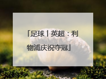 足球丨英超：利物浦庆祝夺冠
