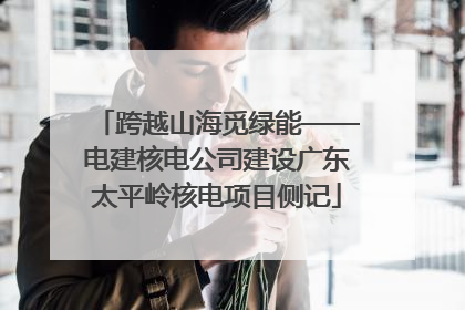 跨越山海觅绿能——电建核电公司建设广东太平岭核电项目侧记