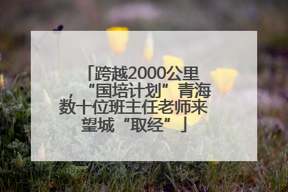 跨越2000公里，“国培计划”青海数十位班主任老师来望城“取经”