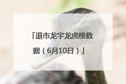 退市龙宇龙虎榜数据（6月10日）