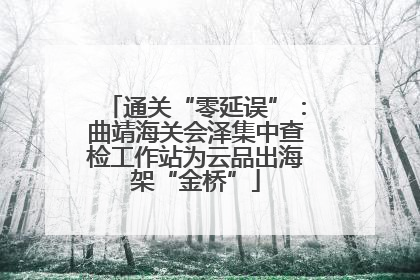通关“零延误”：曲靖海关会泽集中查检工作站为云品出海架“金桥”