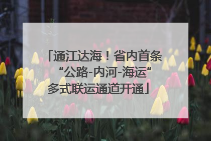 通江达海！省内首条“公路-内河-海运”多式联运通道开通