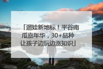遛娃新地标！平谷南瓜嘉年华，30+品种让孩子边玩边涨知识
