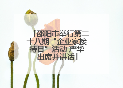 邵阳市举行第二十八期“企业家接待日”活动 严华出席并讲话