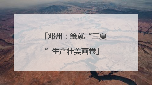邓州：绘就“三夏”生产壮美画卷