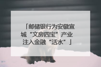 邮储银行为安徽宣城“文房四宝”产业注入金融“活水”