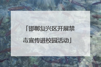 邯郸复兴区开展禁毒宣传进校园活动