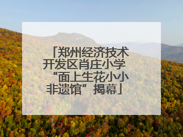 郑州经济技术开发区肖庄小学“面上生花小小非遗馆”揭幕