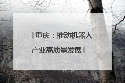 重庆：推动机器人产业高质量发展