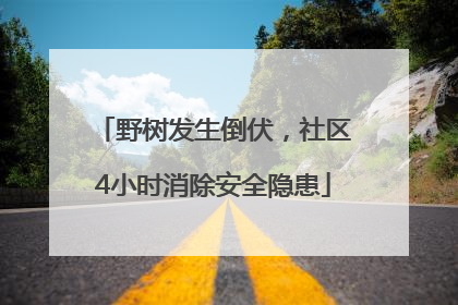 野树发生倒伏，社区4小时消除安全隐患