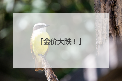 金价大跌！