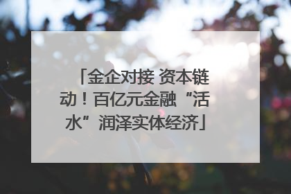 金企对接 资本链动！百亿元金融“活水”润泽实体经济