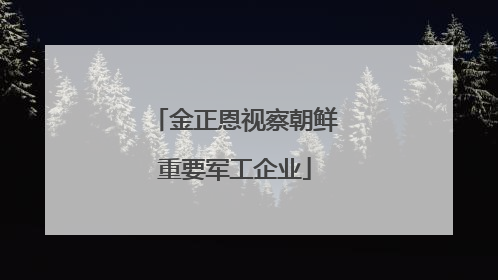 金正恩视察朝鲜重要军工企业