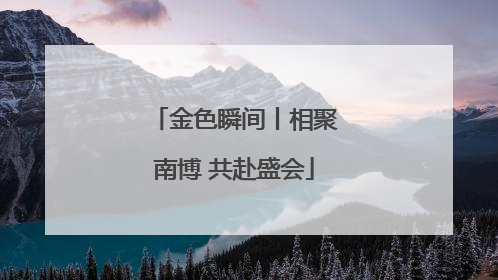 金色瞬间丨相聚南博 共赴盛会