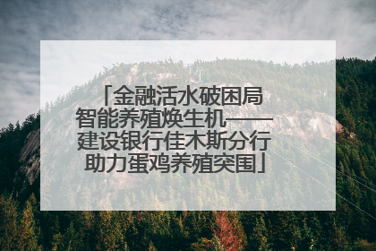 金融活水破困局 智能养殖焕生机——建设银行佳木斯分行助力蛋鸡养殖突围