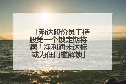 韵达股份员工持股第一个锁定期将满！净利润未达标或为低门槛解锁