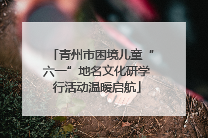 青州市困境儿童“六一”地名文化研学行活动温暖启航