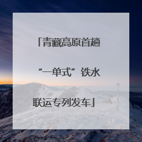 青藏高原首趟“一单式”铁水联运专列发车