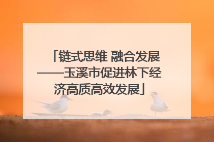 链式思维 融合发展——玉溪市促进林下经济高质高效发展