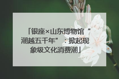 银座×山东博物馆“潮越五千年”：掀起现象级文化消费潮