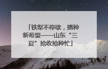 铁犁不停歇，播种新希望——山东“三夏”抢收抢种忙