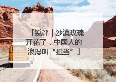 锐评｜沙漠玫瑰开花了，中国人的浪漫叫“担当”