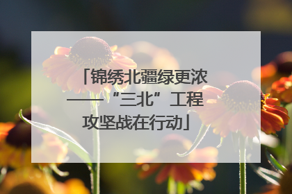 锦绣北疆绿更浓——“三北”工程攻坚战在行动
