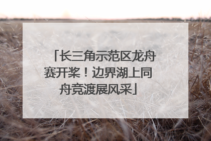 长三角示范区龙舟赛开桨！边界湖上同舟竞渡展风采