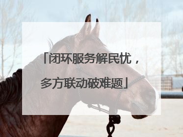 闭环服务解民忧，多方联动破难题