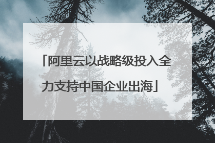阿里云以战略级投入全力支持中国企业出海