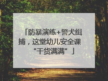 防暴演练+警犬缉捕，这堂幼儿安全课“干货满满”