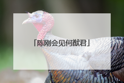 陈刚会见何猷君