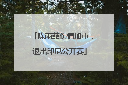 陈雨菲伤情加重，退出印尼公开赛