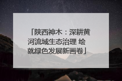 陕西神木：深耕黄河流域生态治理 绘就绿色发展新画卷
