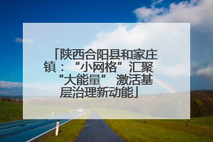 陕西合阳县和家庄镇：“小网格”汇聚“大能量” 激活基层治理新动能
