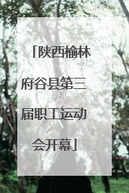 陕西榆林府谷县第三届职工运动会开幕