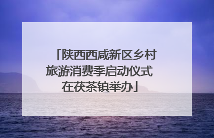 陕西西咸新区乡村旅游消费季启动仪式在茯茶镇举办