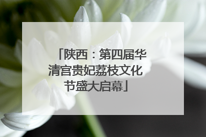 陕西：第四届华清宫贵妃荔枝文化节盛大启幕