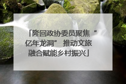 隆回政协委员聚焦“亿年龙洞” 推动文旅融合赋能乡村振兴