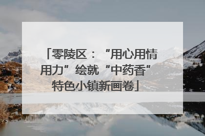 零陵区：“用心用情用力”绘就“中药香”特色小镇新画卷