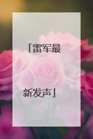 雷军最新发声
