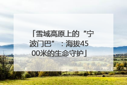 雪域高原上的“宁波门巴”：海拔4500米的生命守护