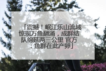 震撼！岷江乐山流域惊现万鱼翻涌，成群结队绵延两三公里 官方：鱼群在此产卵