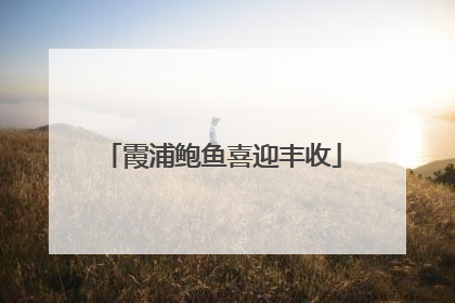 霞浦鲍鱼喜迎丰收