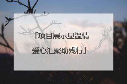 项目展示显温情 爱心汇聚助残行
